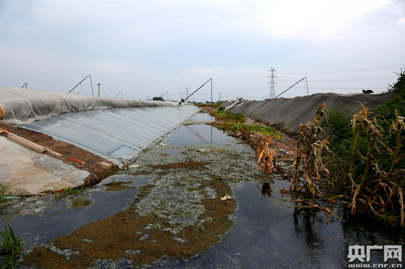 山东寿光洪灾第12天 记者实地探访救灾进展