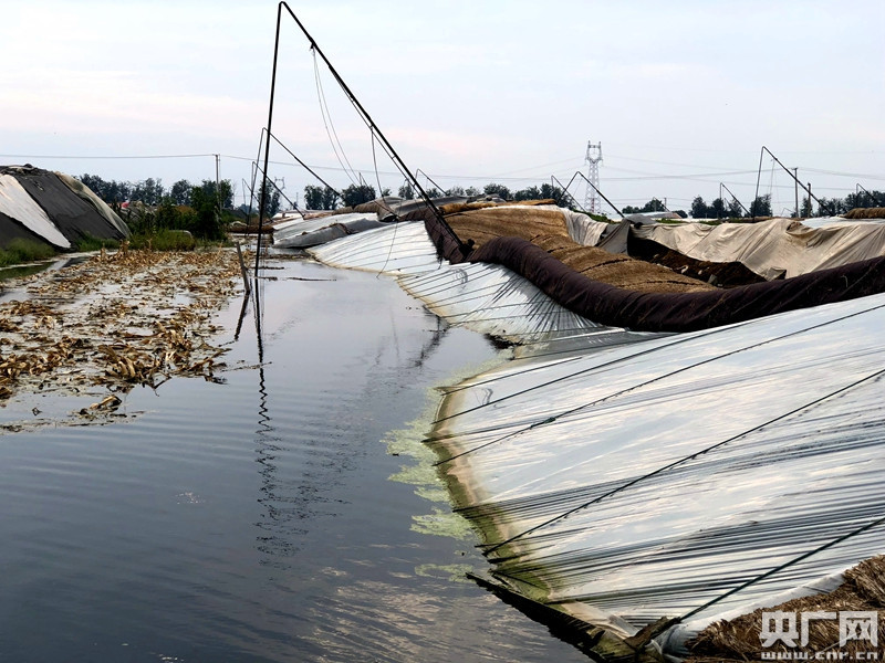 山东寿光洪灾第12天 记者实地探访救灾进展
