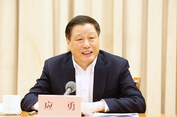 应勇:用大数据等信息化手段提高审计效能