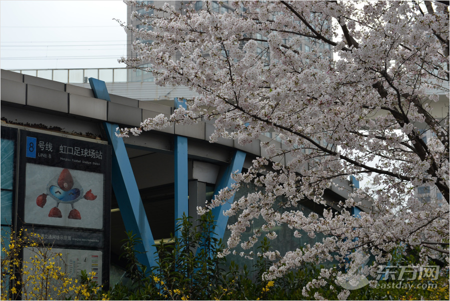 这是3月31日拍摄的上海轨道交通8号线虹口足球场站1号出入口一角.