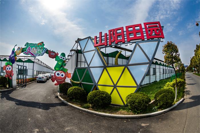 山阳田园(金山区新闻办供图)