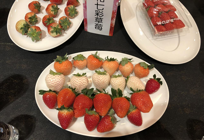 国内首款七彩草莓发布 未来草莓也有"五颜六色"