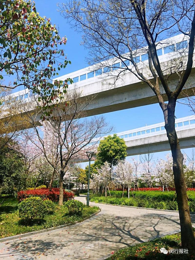 闵行这个地铁站口竟藏着个近5万㎡的大公园