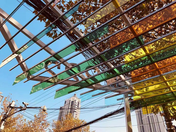 图说:番禺路222弄 是"社区共享街道"专题的实践项目 来源/采访对象