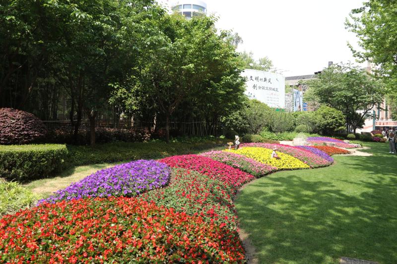 近20万平方米花坛花境,800多万盆鲜花"炸街","五一"这些商圈变花园