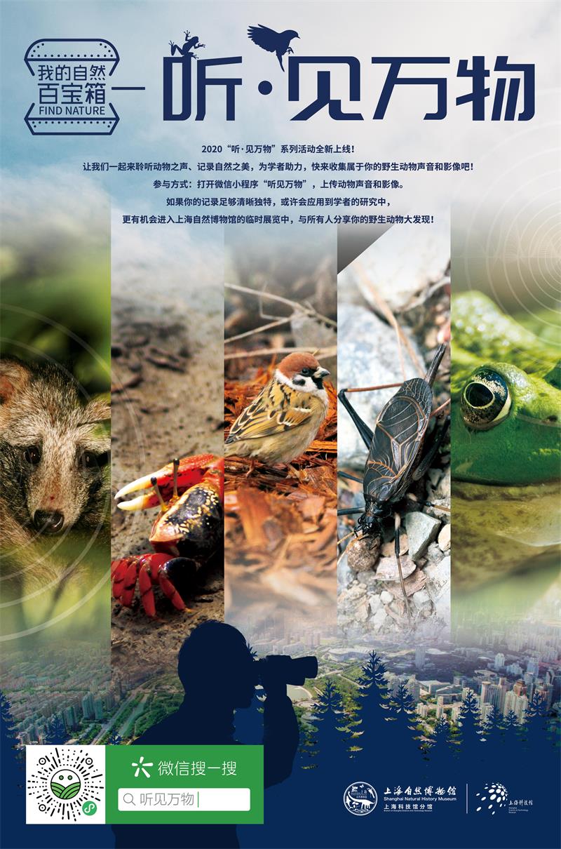 上海自然博物馆"2020我的自然百宝箱"活动线上启动