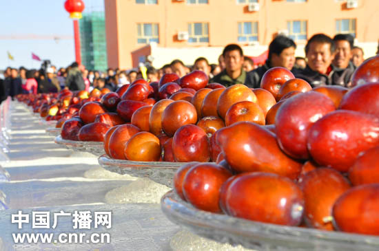 若羌县喜迎第七届红枣节开幕