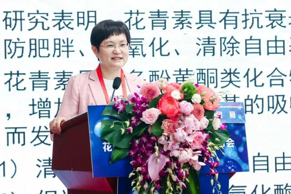 中国疾病预防控制中心何丽教授主题演讲(图片源自:中国网)