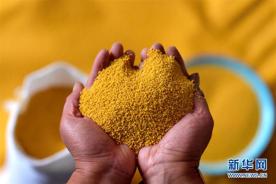 太行山上的脱贫"金谷堆"