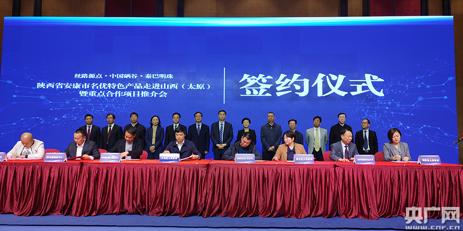 推介会活动现场(央广网发 主办方供图)