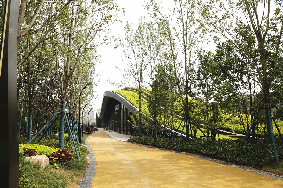 多项技术创新助力西安幸福林带建设