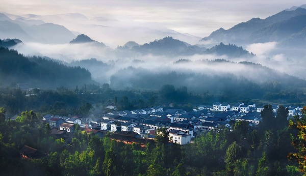 华阳景区秦岭四宝园进入试运营阶段