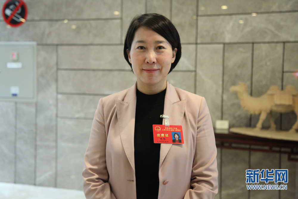 陕西省人大代表林梅:打造全国知名农产品电商及物流集散地