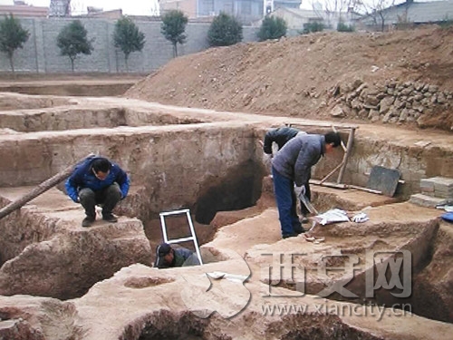 2800年前小麦颗粒长啥样? 西周镐京遗址中发现了