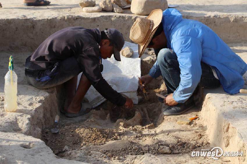 中国考古人找到西迁到中亚的大月氏