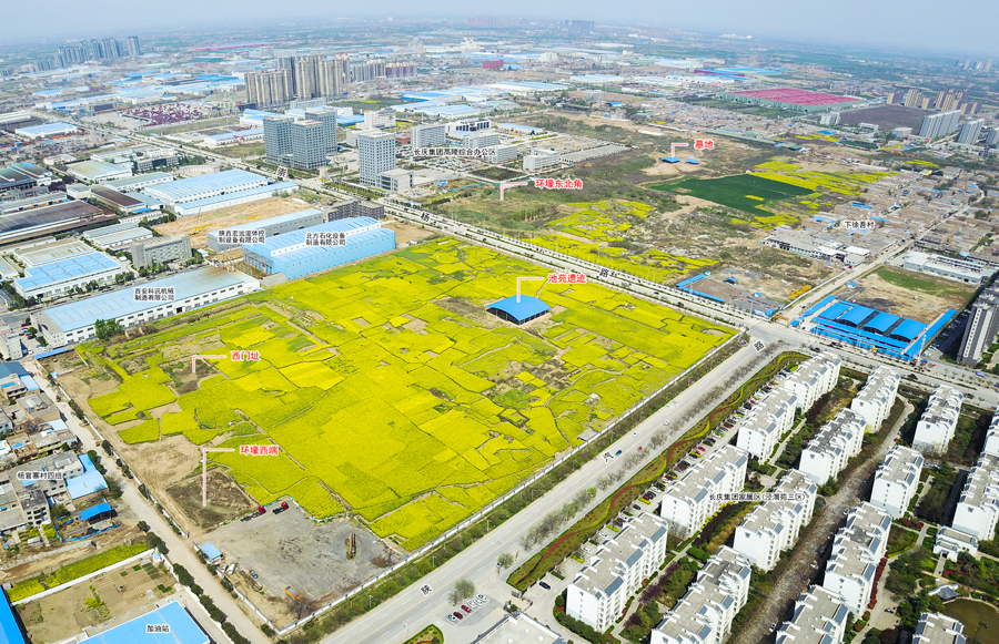 陕西高陵杨官寨遗址首现国内庙底沟文化大型成人墓地