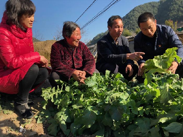 驻镇帮镇扶村工作汇报_乡镇驻村帮扶工作总结_乡镇驻村帮扶工作情况汇报
