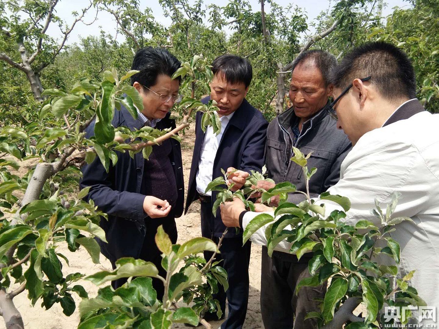 央广网西安5月6日消息(记者刘涛 通讯员郭创)近日,礼泉县委书记程