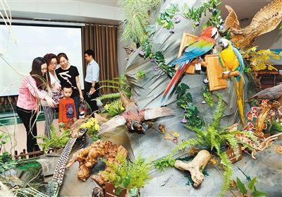 陕西自然博物馆展出百余种珍奇鸟类标本