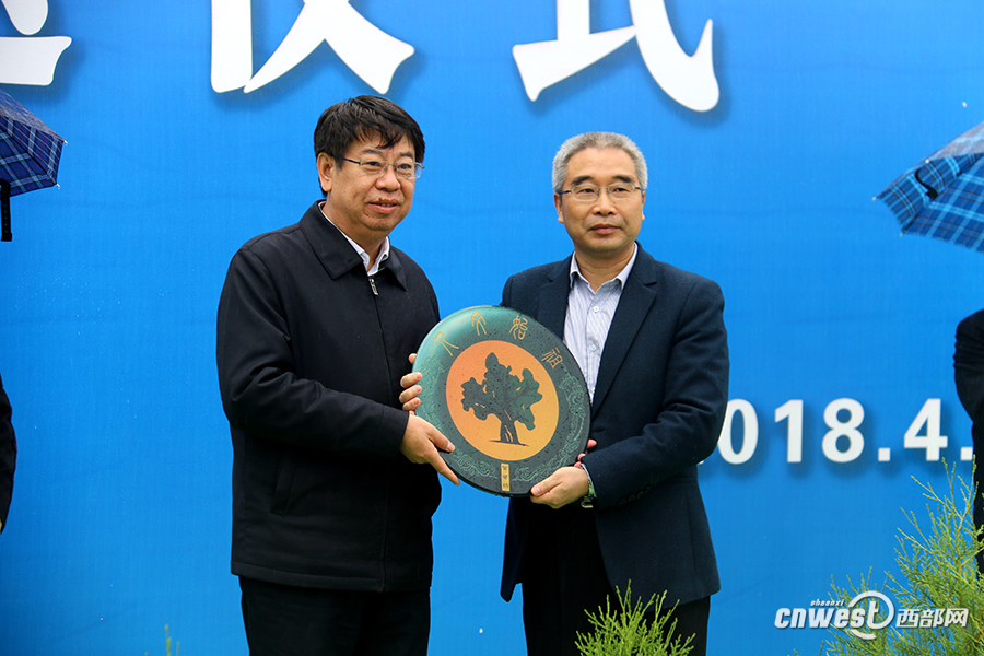 陕西向广西赠送黄帝手植柏和汉武帝挂甲柏扩繁苗各3株