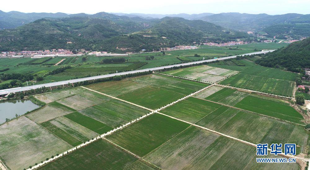 图为无人机视角下的直罗镇田园综合体胡家坡核心区.新华网 张勇摄