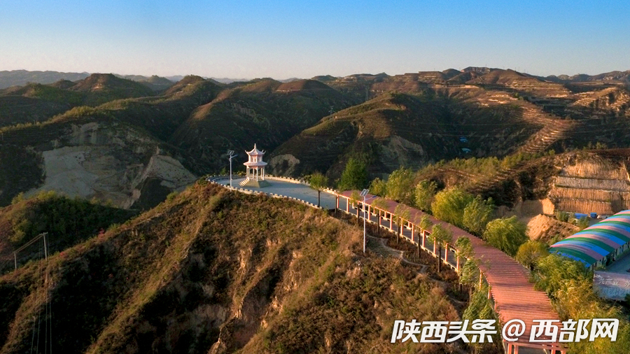 绥德:山沟沟里"搞大事情" 蔬菜大棚"c位出道"