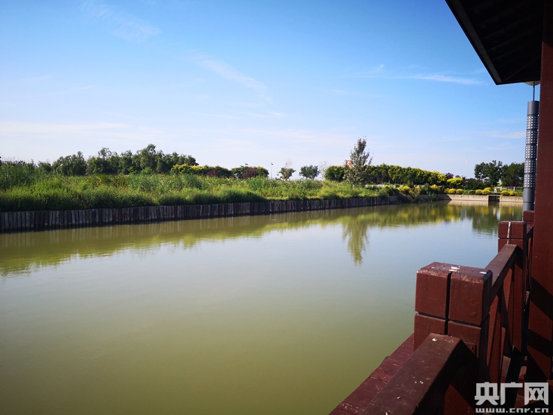 天津七里海国家湿地公园是天津最大的天然湿地.