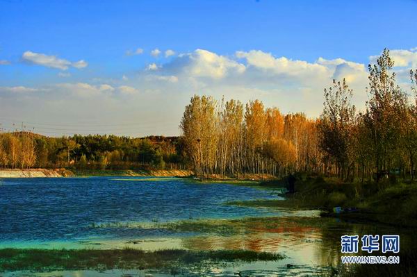 天津市蓟州区于桥水库初冬展美韵