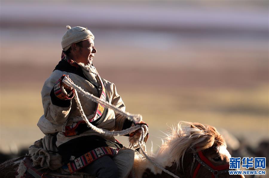 藏北牧人图片