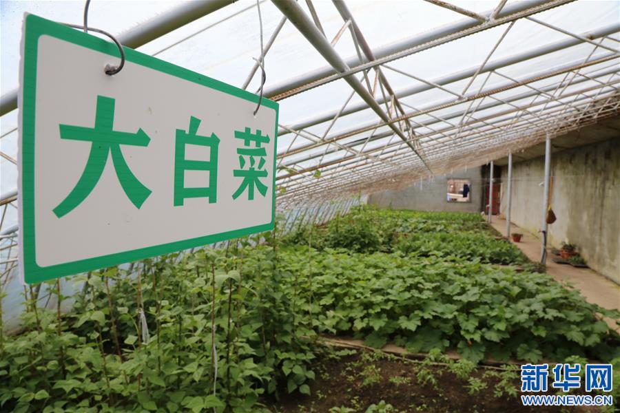 西藏亚东出入境边防检查站的"菜篮子"