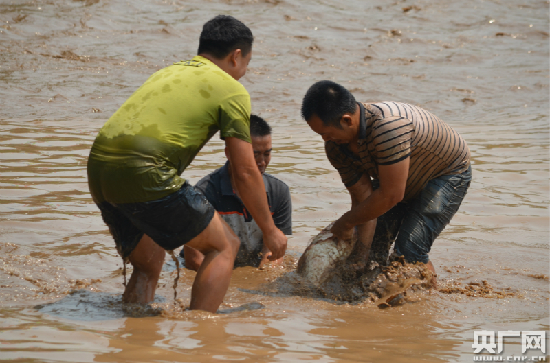 云南孟连欢庆娜允神鱼节 万人"浑水摸鱼"壮观上演