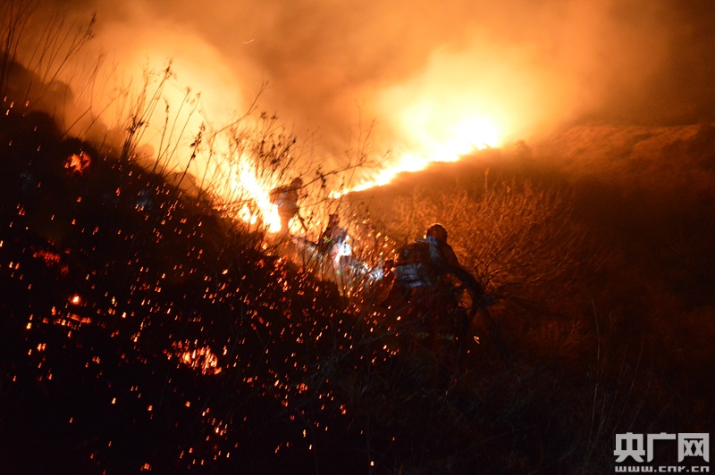 昆明森警连续扑灭多起春季森林火灾