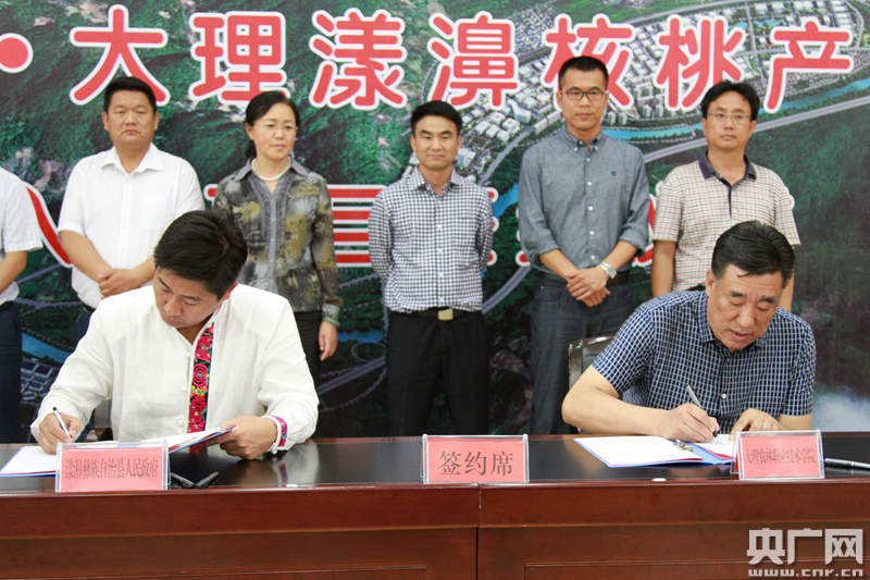 2017年大理漾濞核桃节签约4项目协议金额达6亿