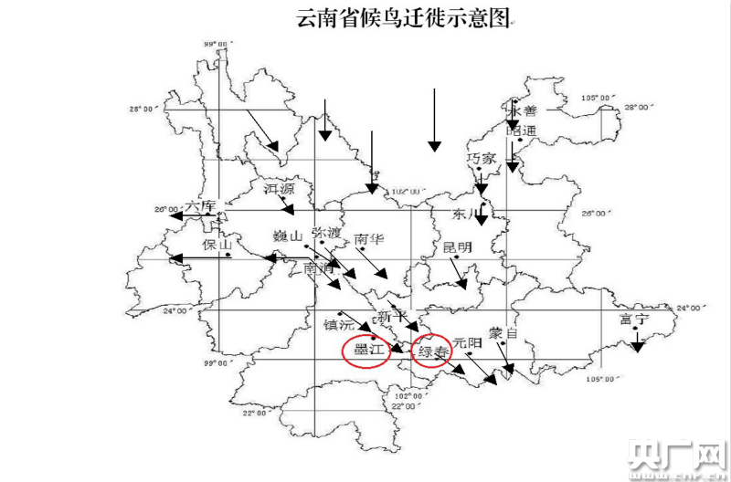 云南墨江,绿春联合开展保护候鸟迁徙专项整治行动