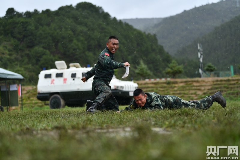 武警云南某支队:雨中摔打,锤炼擒"敌"硬功