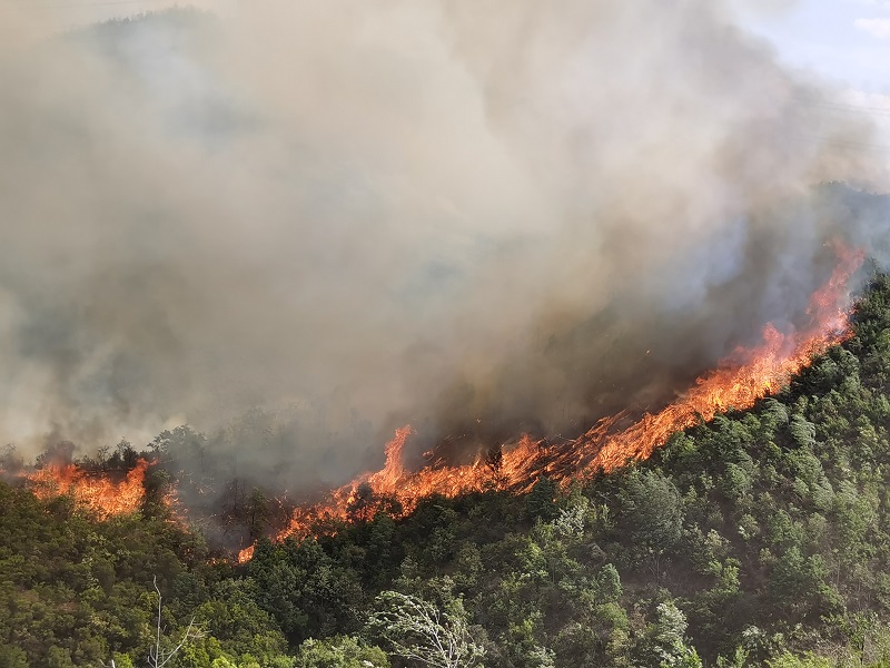 云南安宁市青龙街道办事处双湄村委会山神坝森林大火
