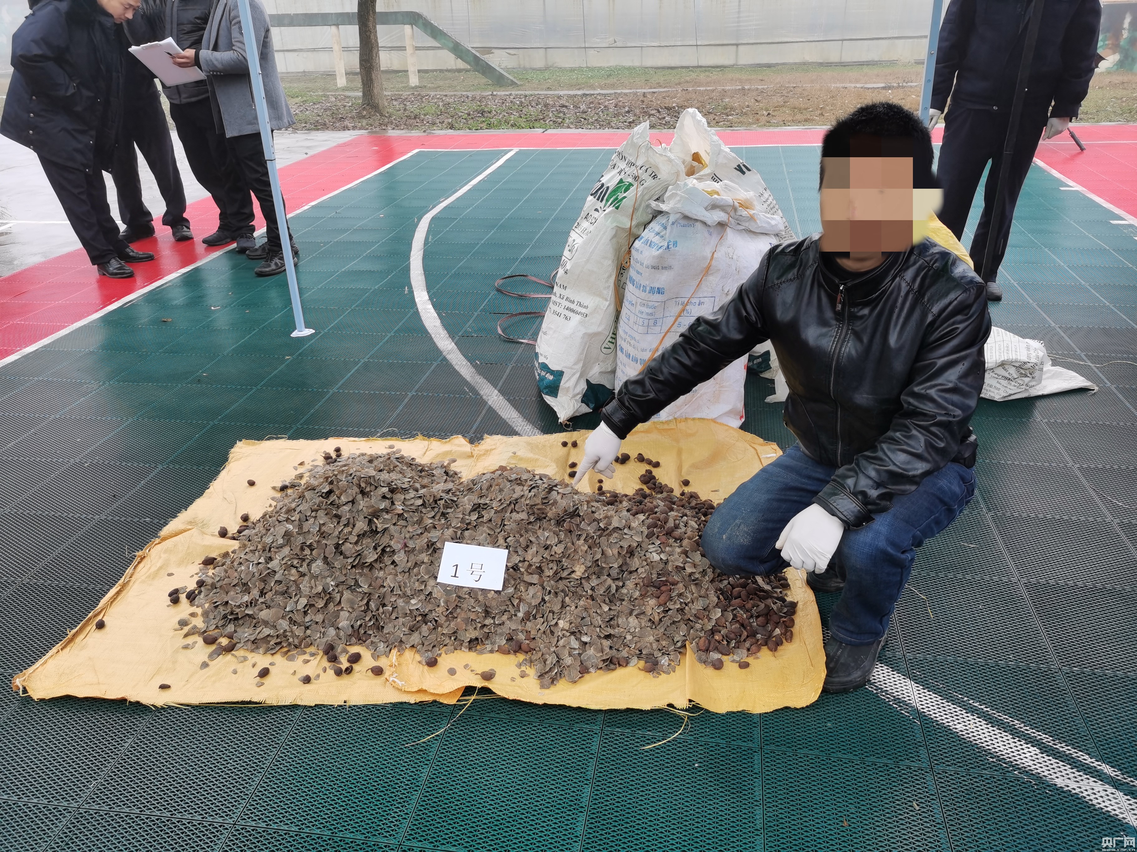 涉案价值近2000万元!云南文山破获特大走私穿山甲鳞片案