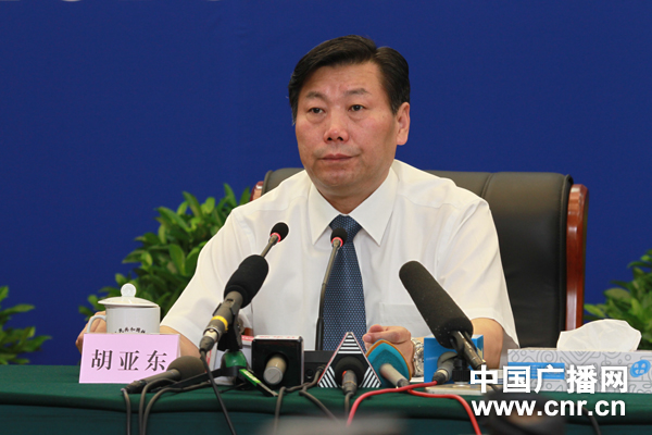 铁道部副部长胡亚东现场发言
