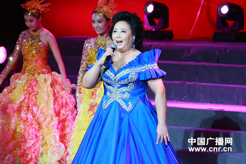 郑咏:《细雨长歌》